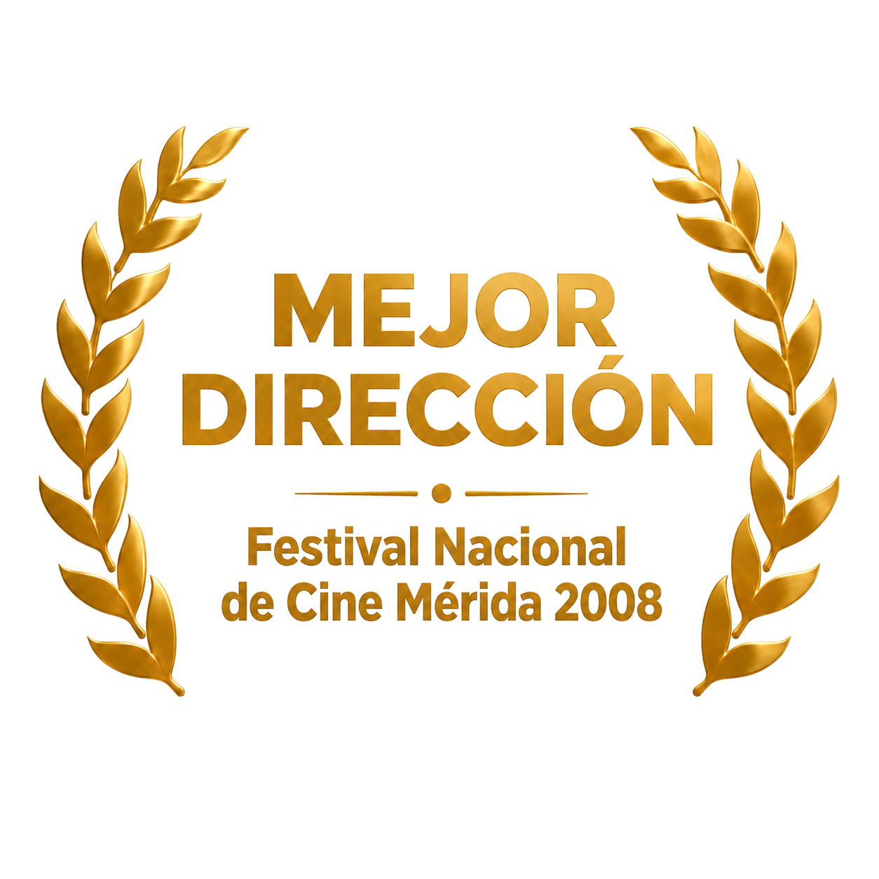 Mejor dirección, Festival Nacional de Cine de Mérida 2008