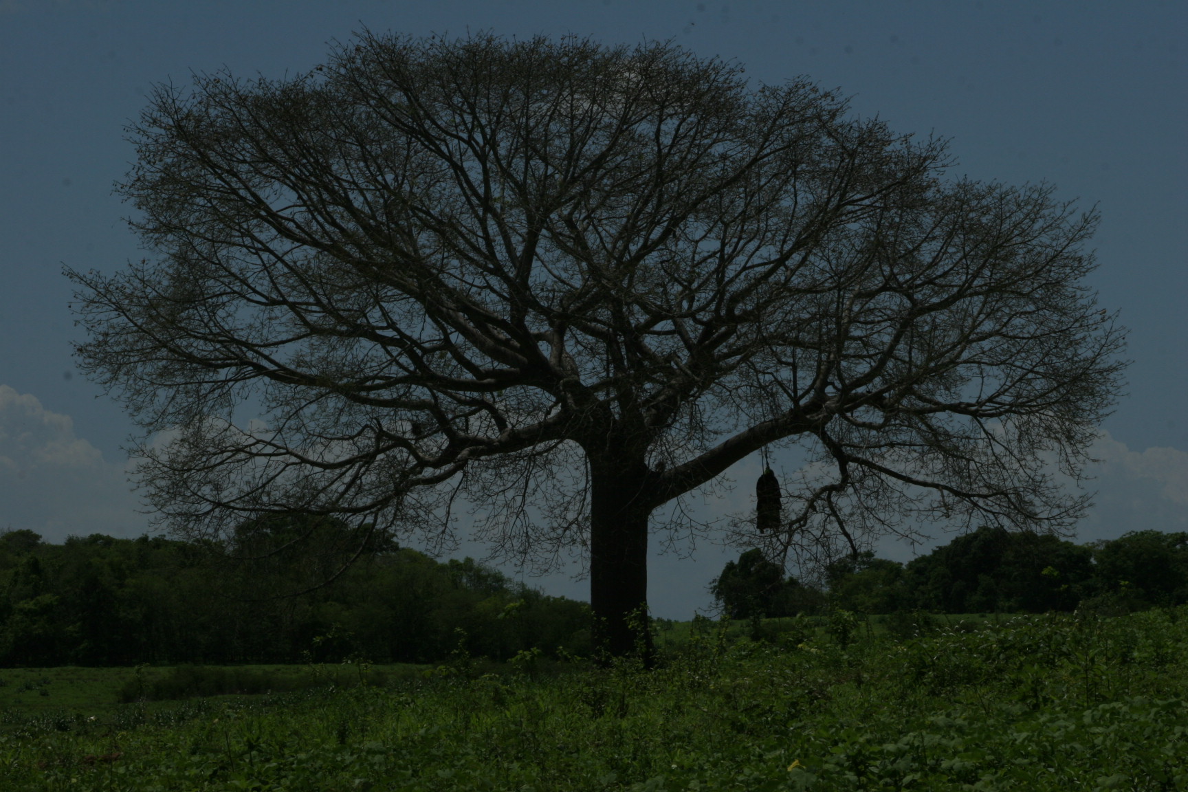 Taita Boves · imagen 14