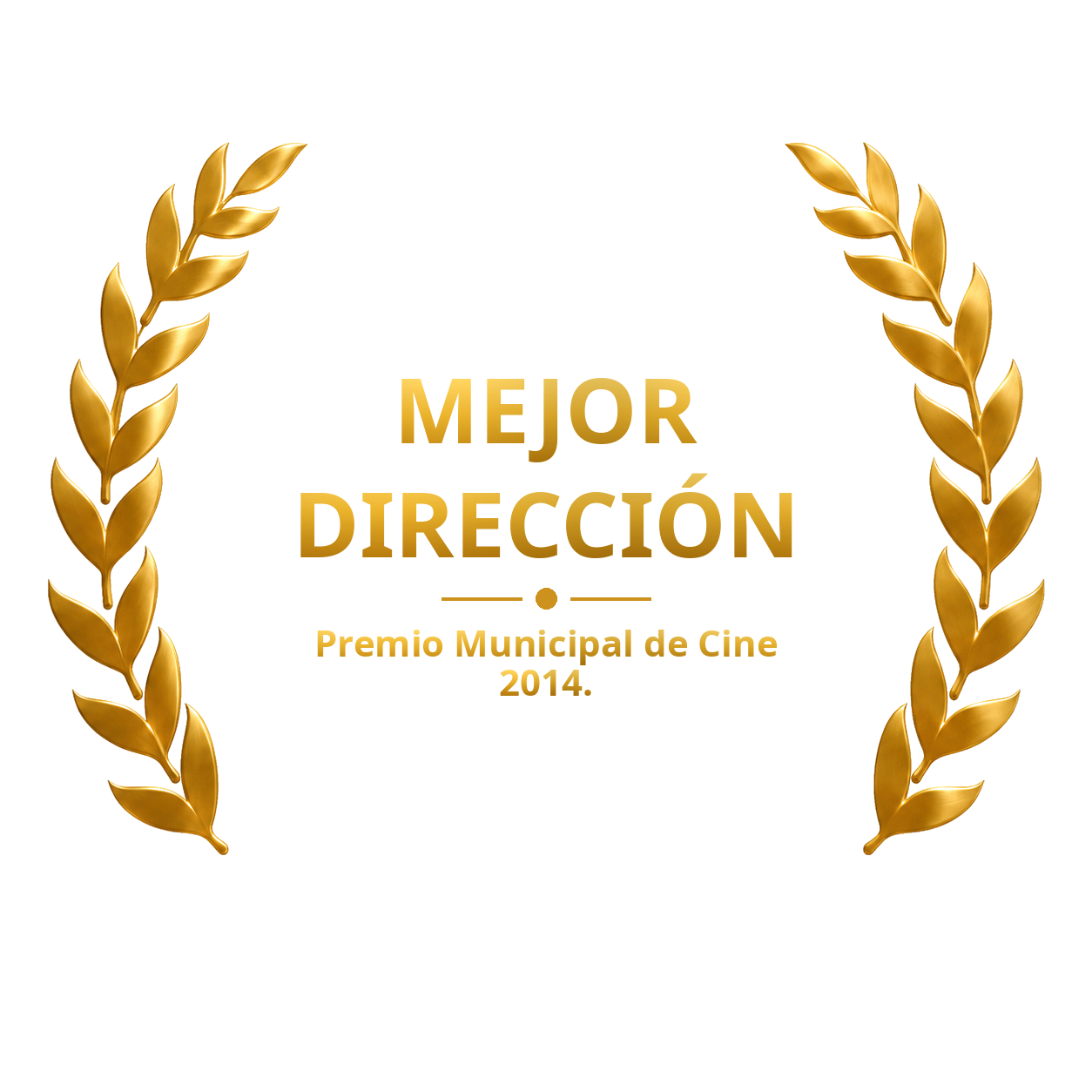Laurel de mejor dirección, Premio Municipal de Cine